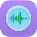 Audio Connection Information